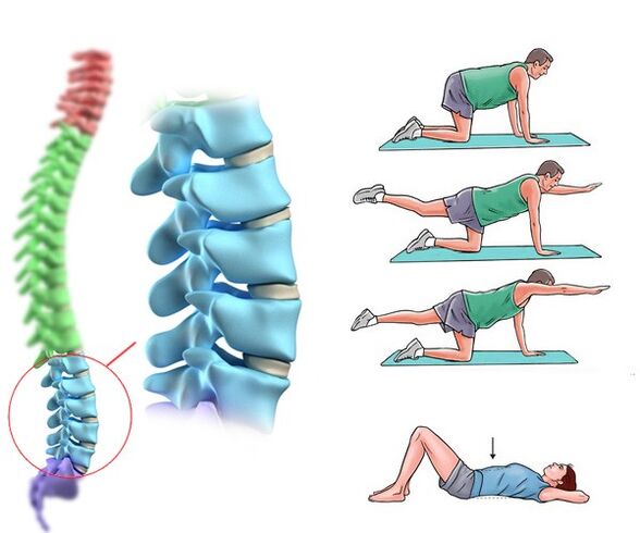 Fisioterapia y masaje